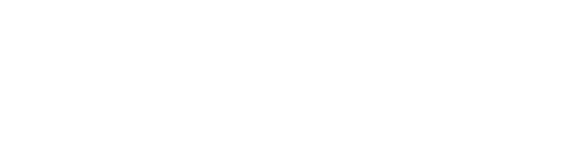 Botami Logo